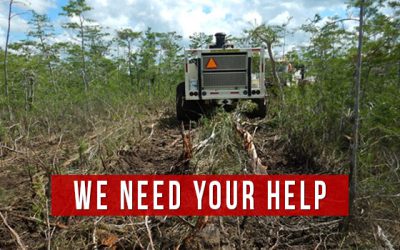 Damage to the Big Cypress Preserve