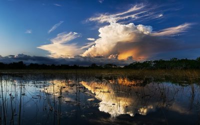 Mining Update: Protect Your Water Supply, Flooding Mitigation