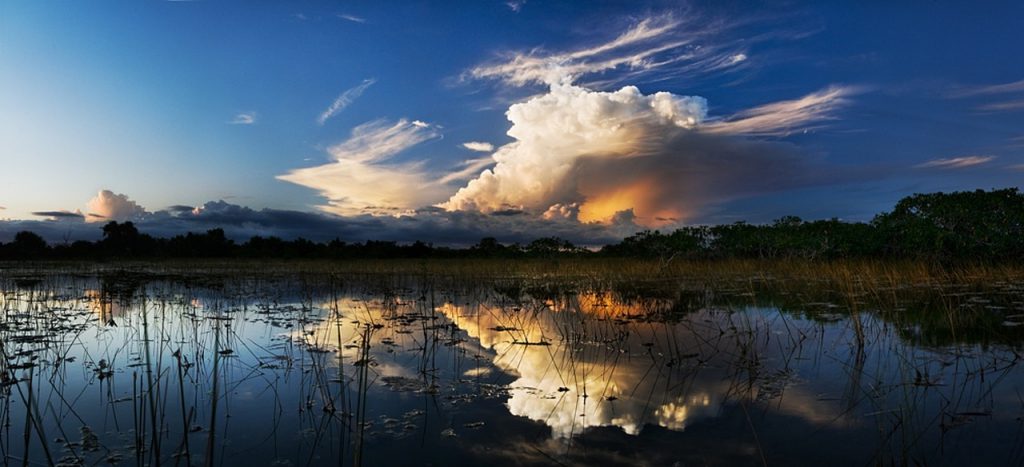 water quality through wetlands