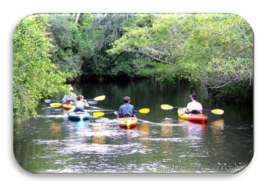 kayaks