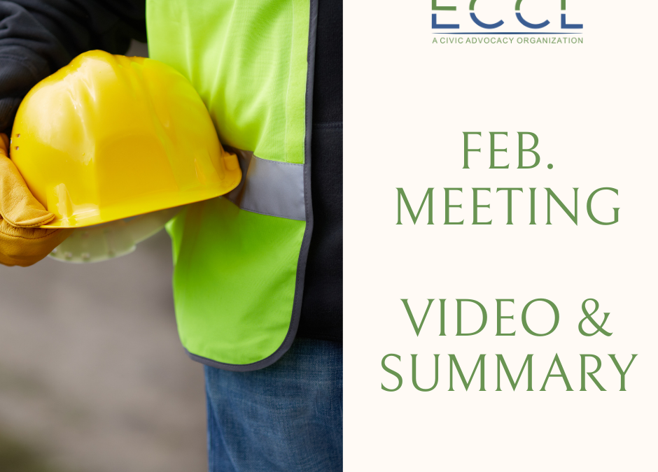 February 2021 Meeting Summary and Video