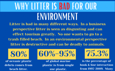 Litter Harms the Environment