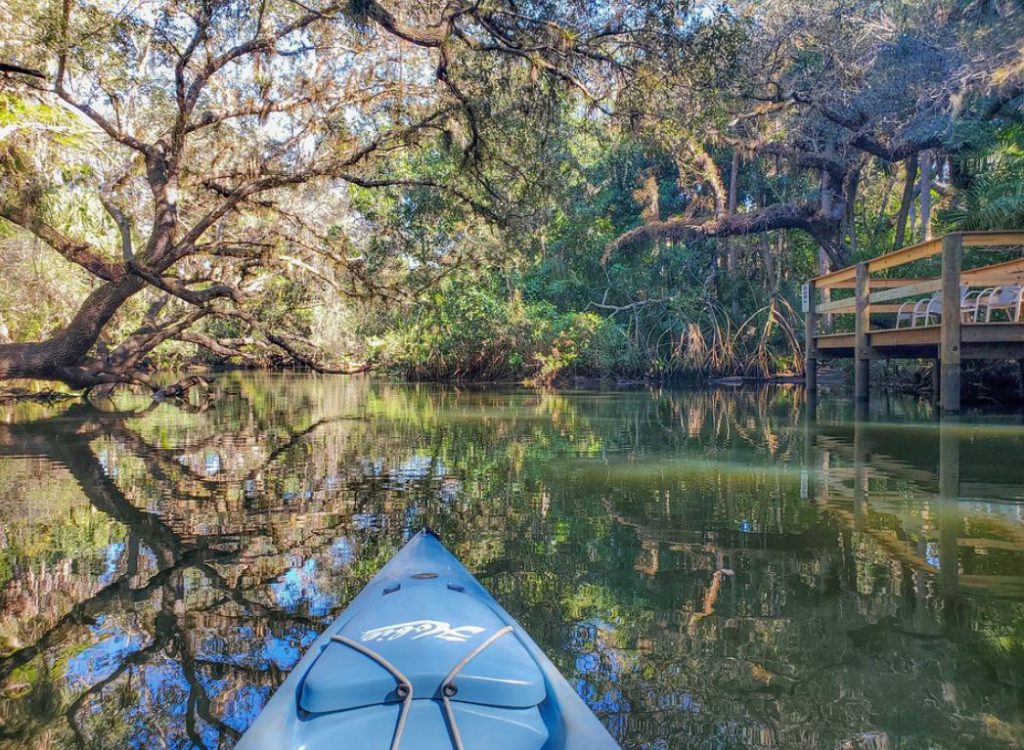 estero-river Kayak on the Estero River