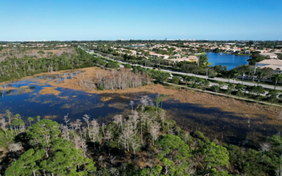 What Estero Residents Care About the Most