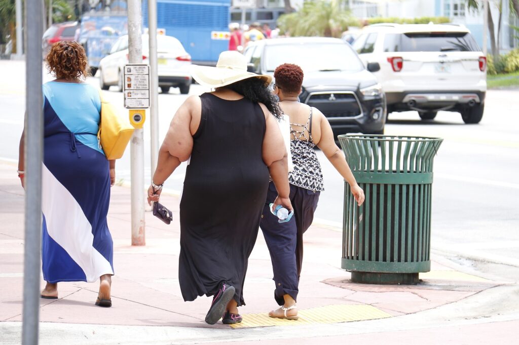 obesity-993126_1280 weight in the US