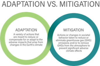 Adaptation vs mitigation