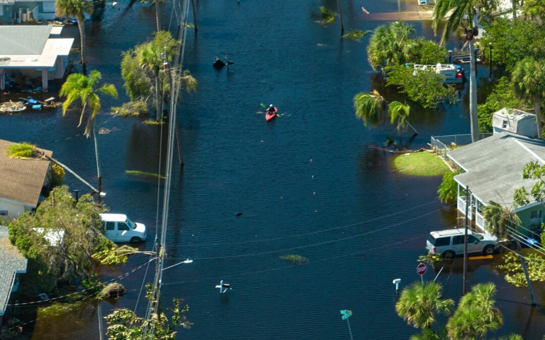Sustainability in Estero