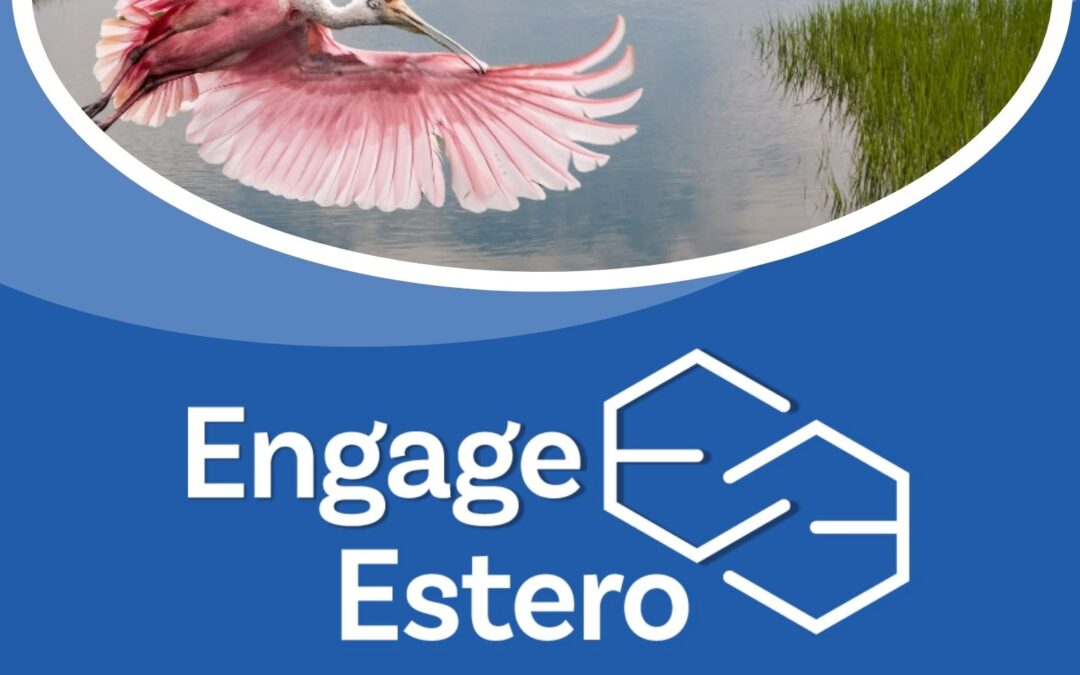 2024 Engage Estero Annual Report