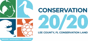 Conservation 20/20