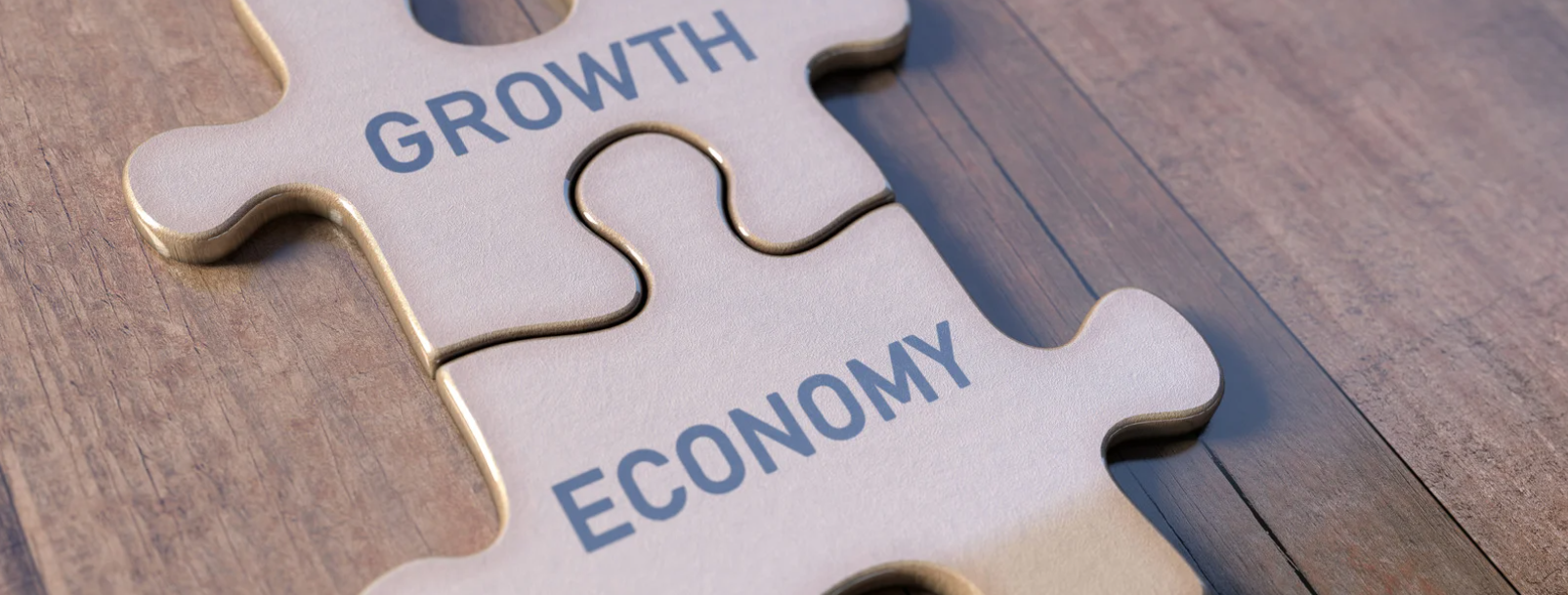 Growth vs Economy