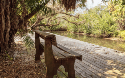 Archives and Resources: State Parks Near Estero, Florida