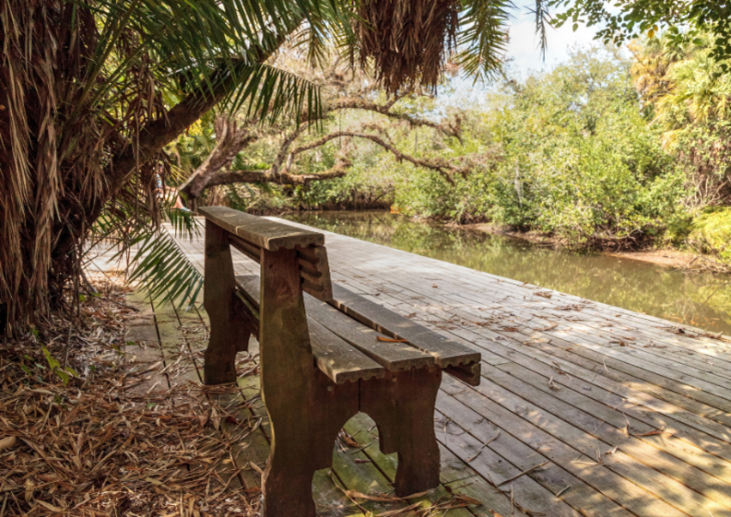 Archives and Resources: State Parks Near Estero, Florida