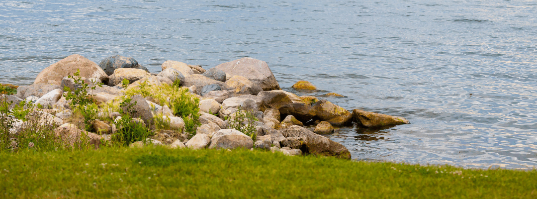 Living Shorelines in Estero