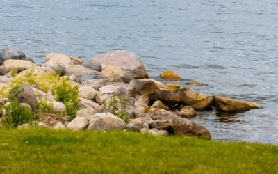 Living Shorelines in Estero