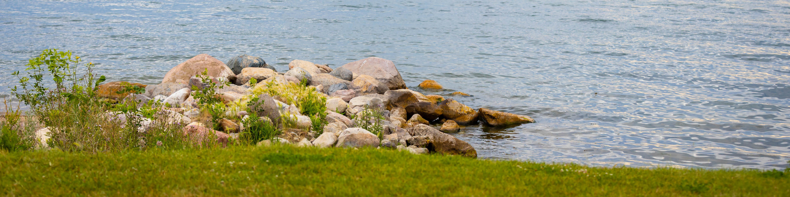 Living Shorelines in Estero