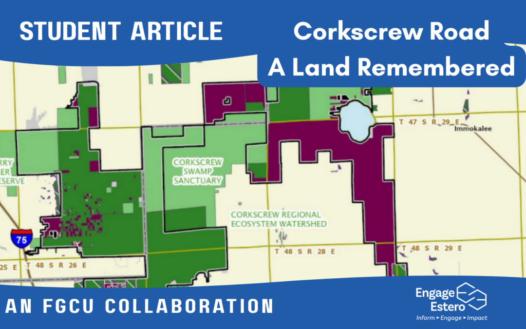 Corkscrew Road: The Land Remembered