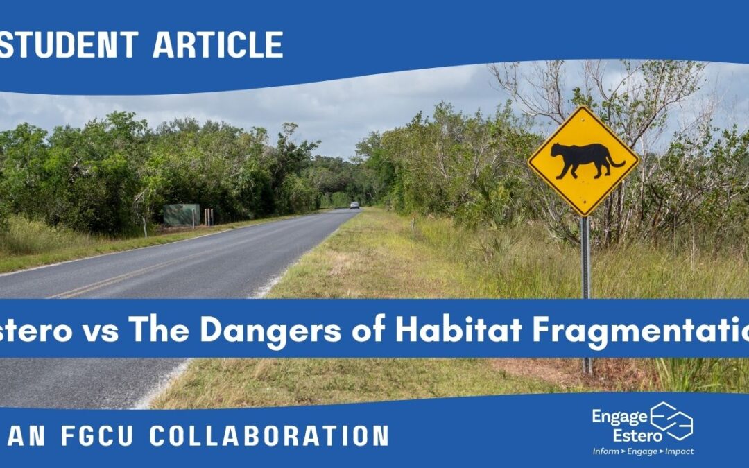 Estero vs. the Dangers of Habitat Fragmentation