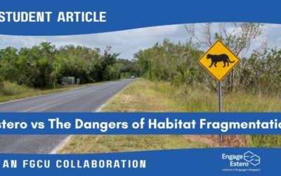 Estero vs. the Dangers of Habitat Fragmentation