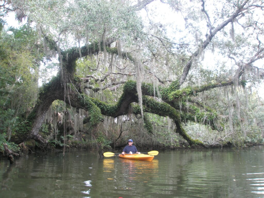 Estero-Riber MW Estero River