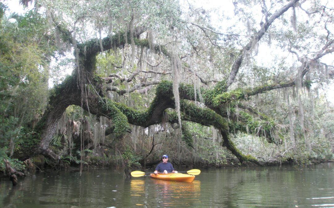 The Estero River as Gateway: Opening the Door to Our Hidden Estuary